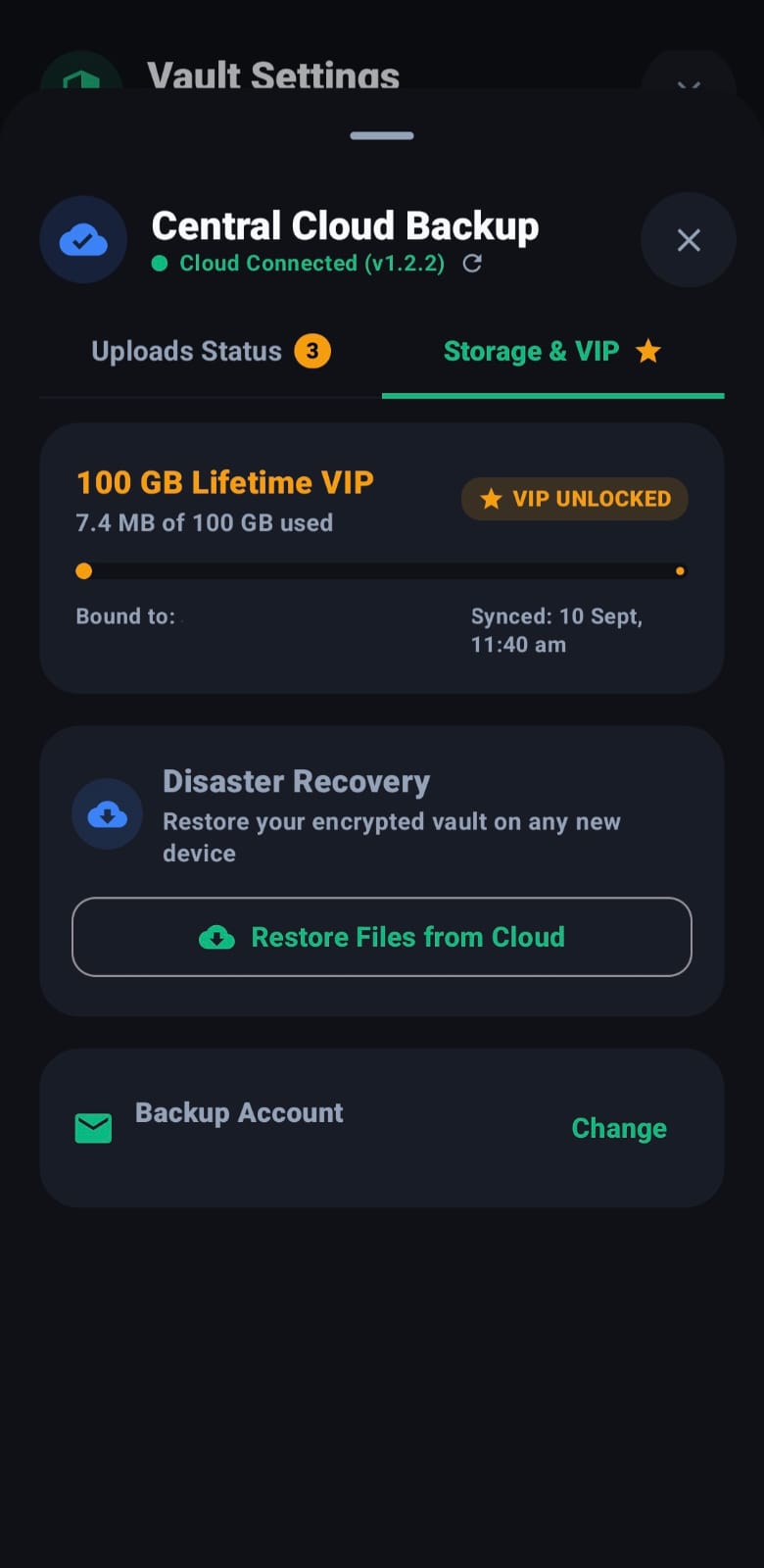 100 GB Lifetime VIP